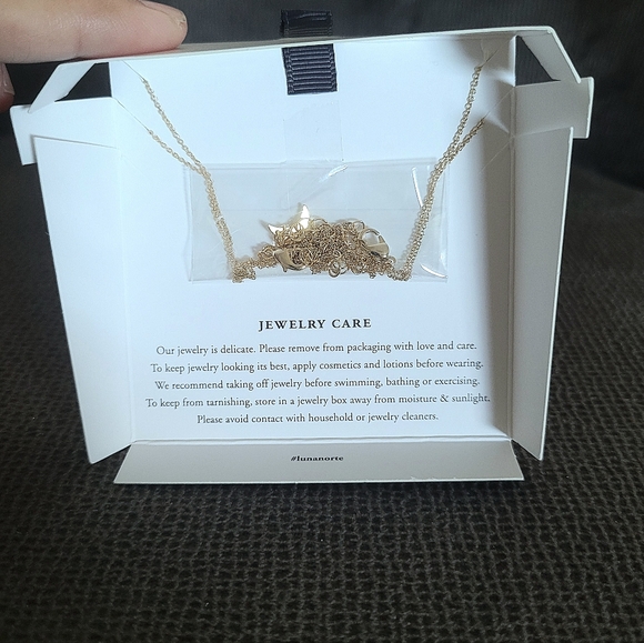 Luna🌙 Norte Double✌️ Necklace Set - - Picture 10 of 11